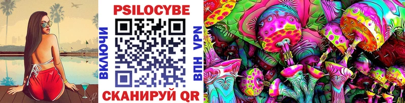 Псилоцибиновые грибы Cubensis  Купить  Киренск 